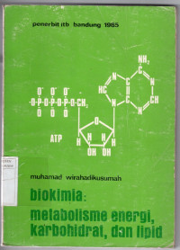 Image of Biokimia: Metabolisme Energi, Karbohidrat, dan Lipid